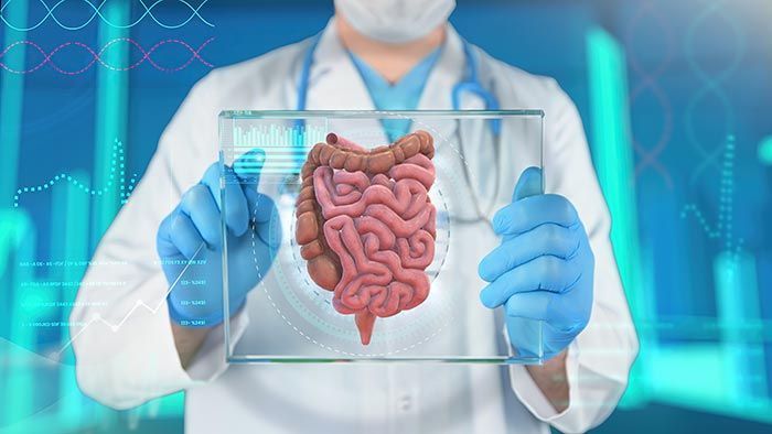 DRA. LAURA ELENA GARCÍA ORTEGA