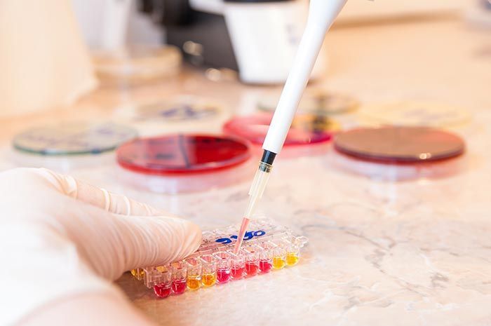 DRA. LAURA ELENA GARCÍA ORTEGA