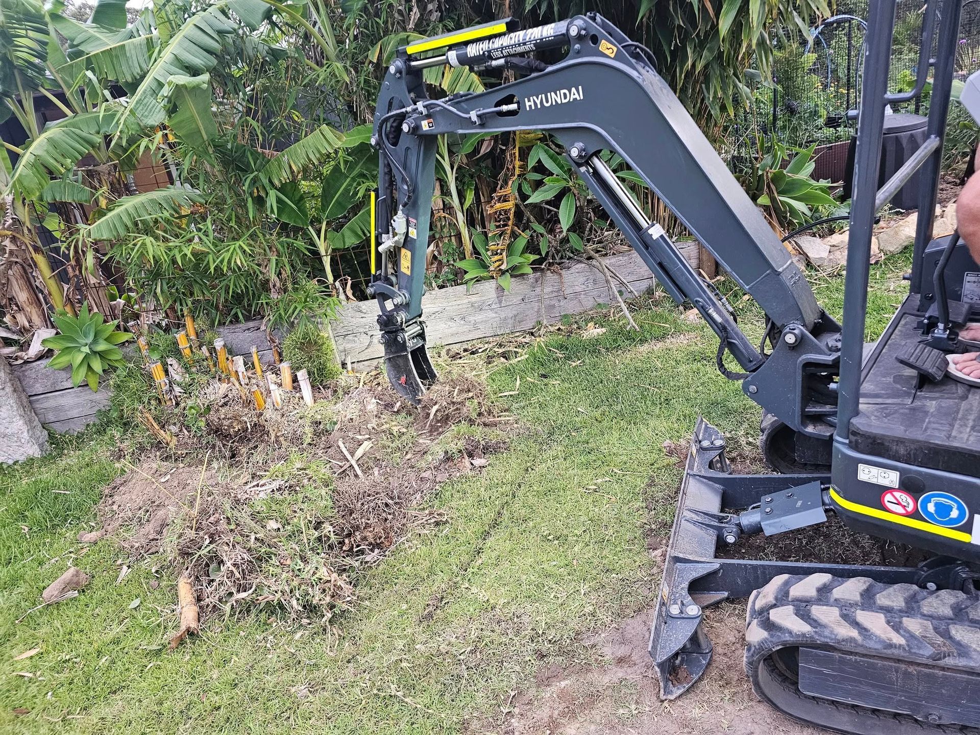 Small excavator removing brush in a yard with banana trees in the background.
