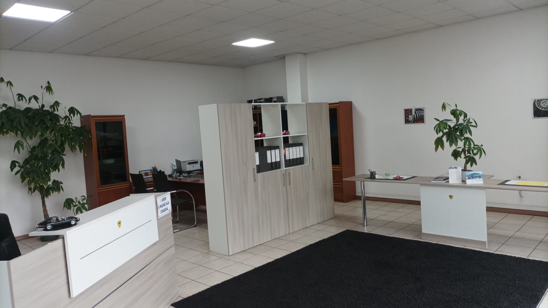 Una stanza con una pianta e uno scaffale con la scritta