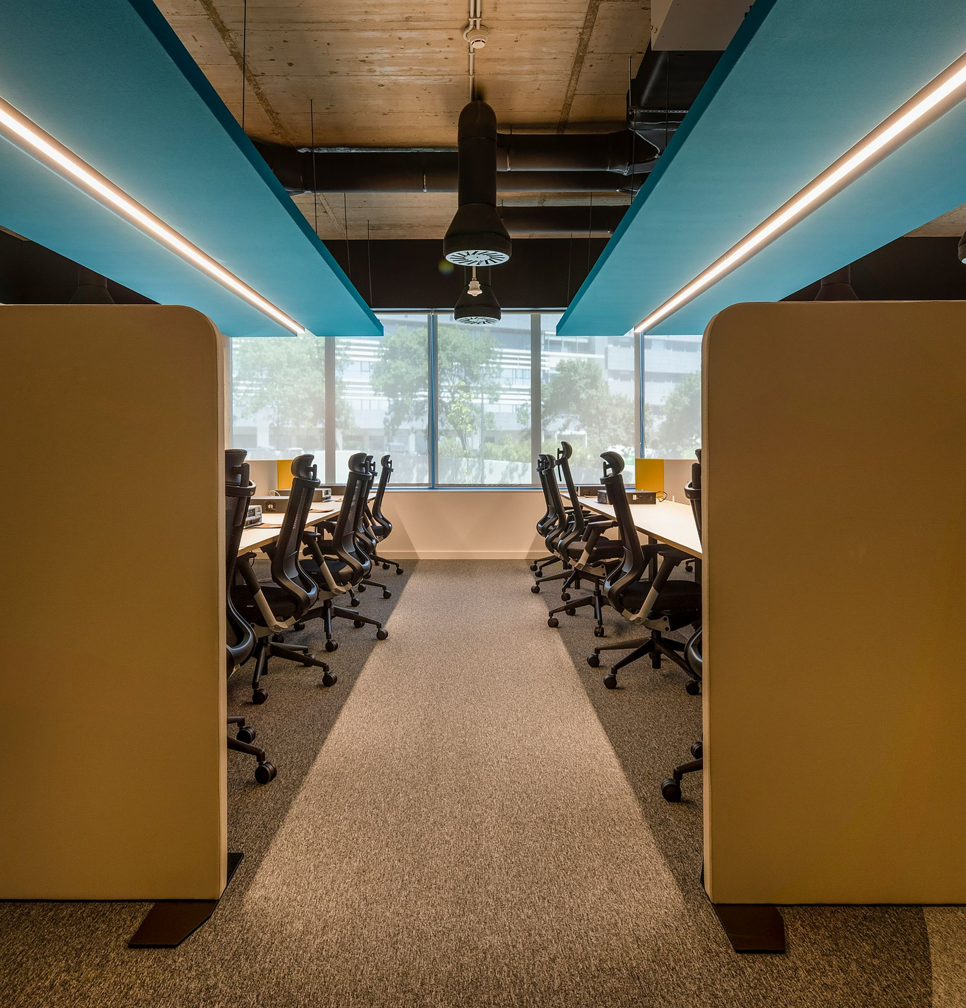 Modern office with rows of desks, black chairs, tan dividers, blue ceiling panels, and natural light.