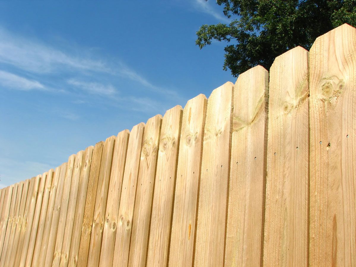 Wooden picket fence against a blue sky with tree leaves at the top.