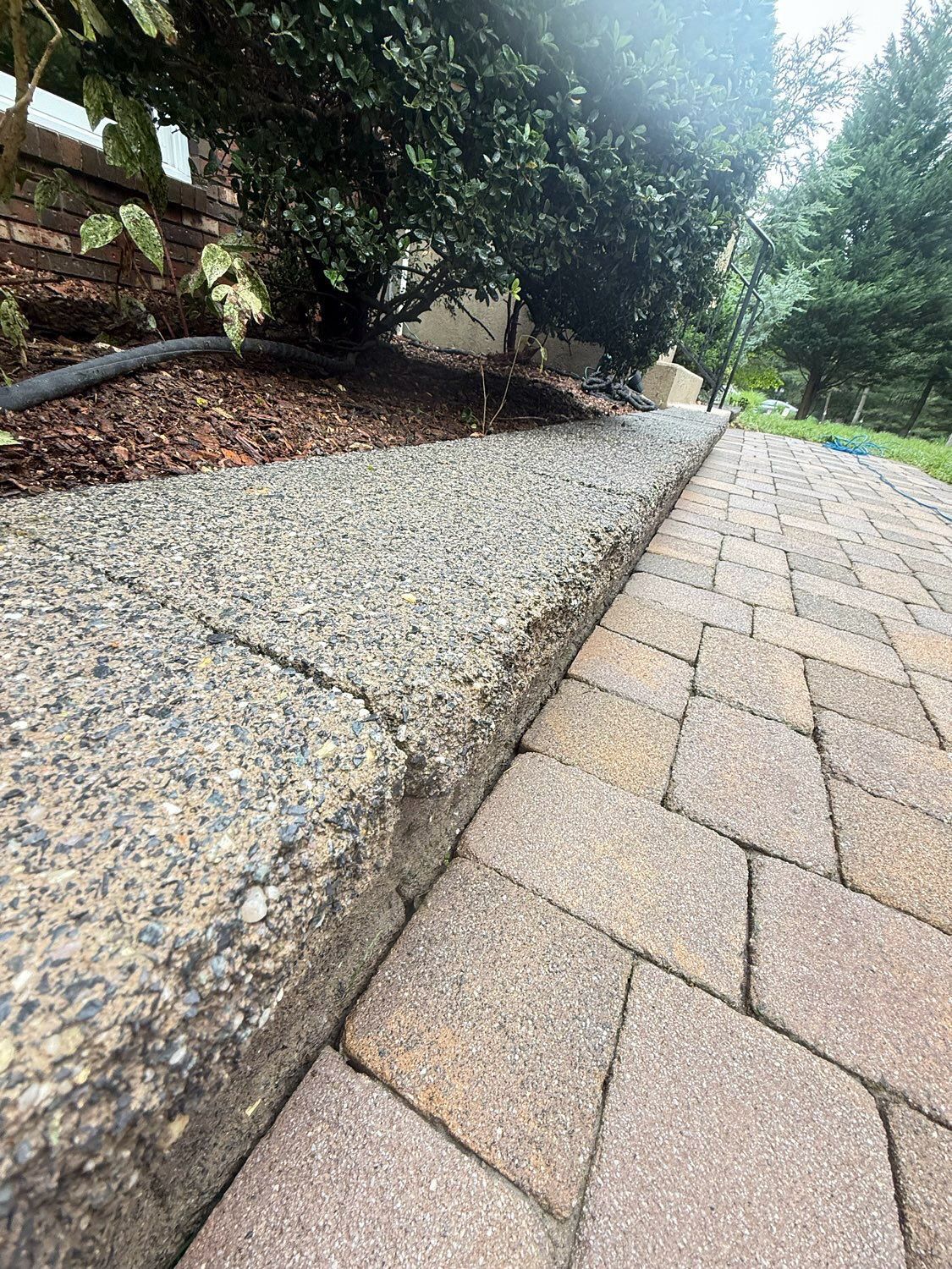 A low concrete border separates a stone-paved walkway from a garden bed filled with dark mulch and green bushes.