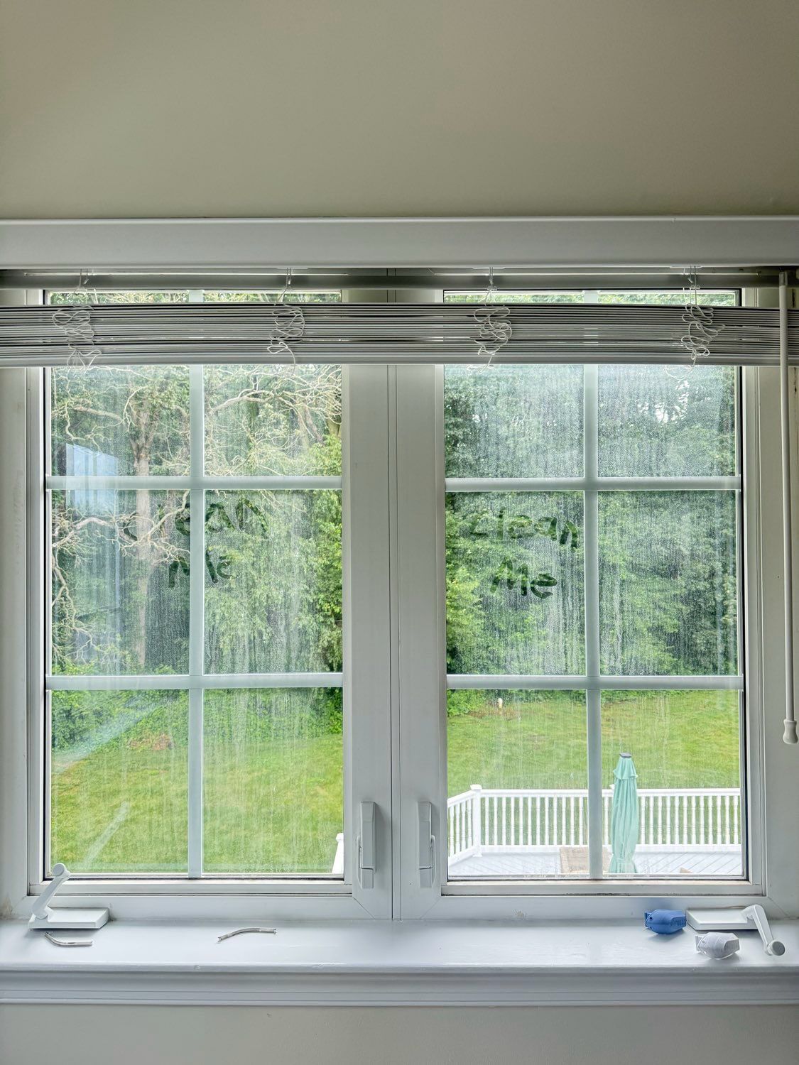 A white-framed double-hung window looks out onto a green lawn and trees, with horizontal blinds at the top.