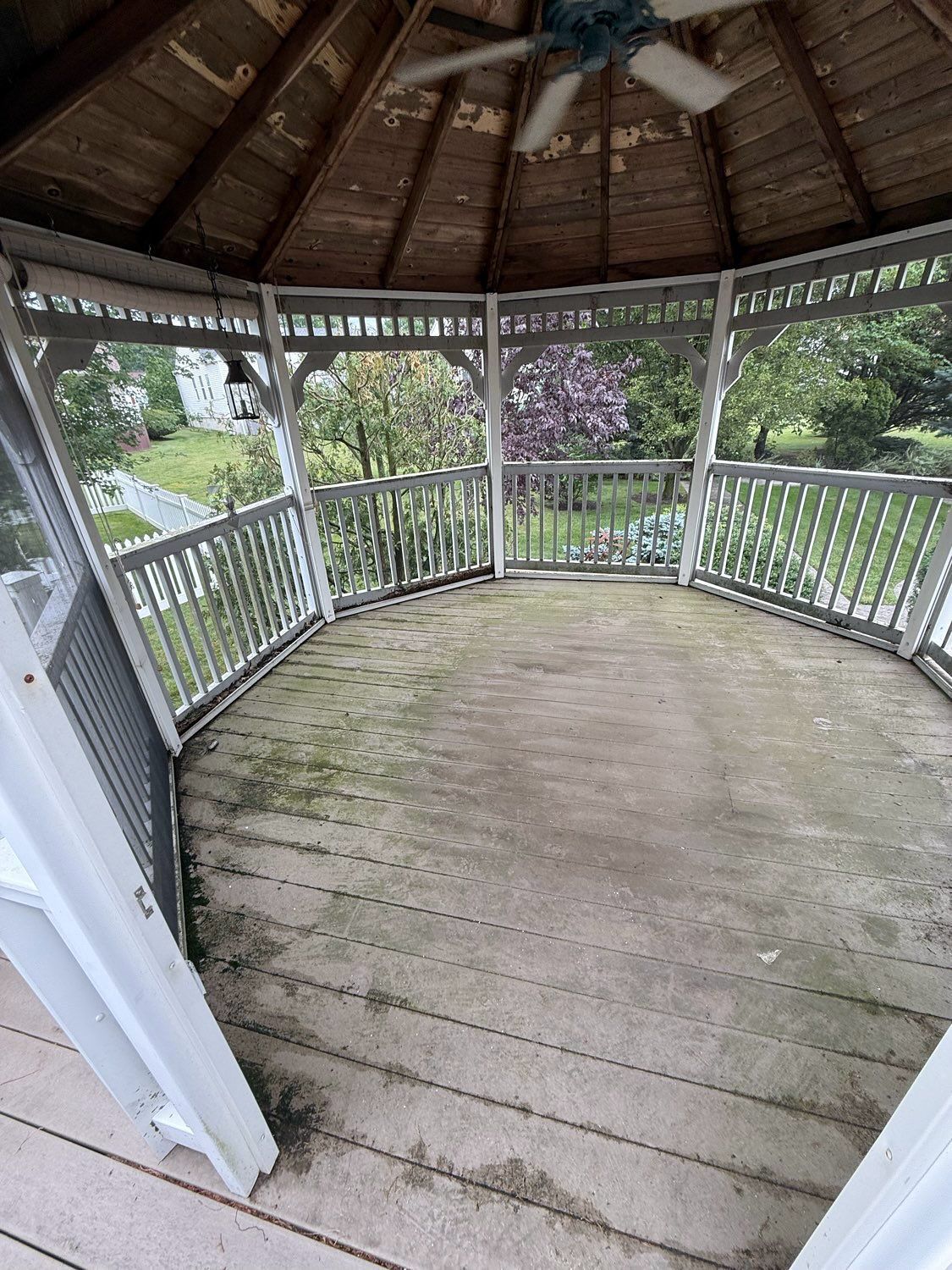 Interior view of an octagonal wooden gazebo featuring a slatted floor covered in green algae and a ceiling fan overhead.