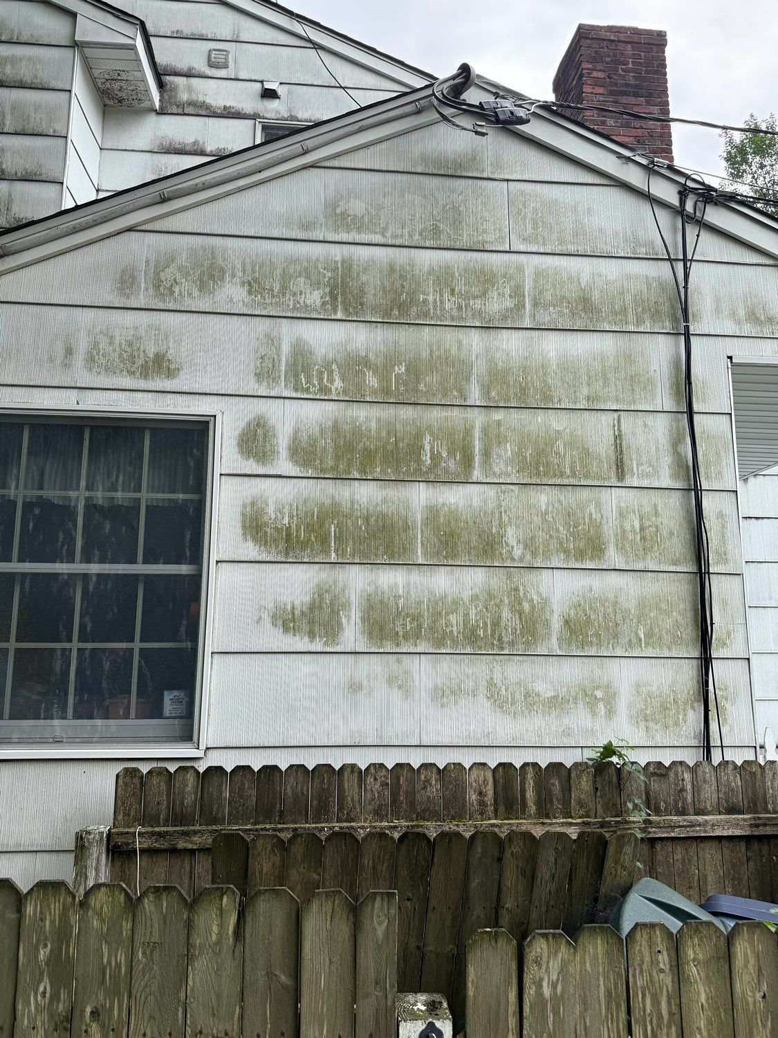 The side of a white house covered in green algae and mildew, partially obscured by a wooden fence in the foreground.