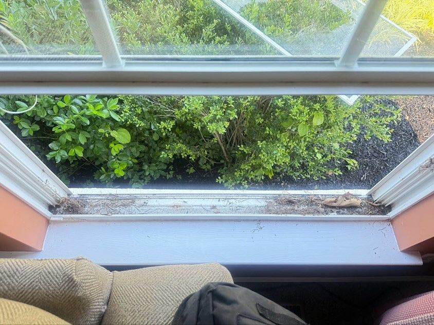 A window track filled with dirt, debris, and dead leaves, with a view of green outdoor bushes through the window glass.