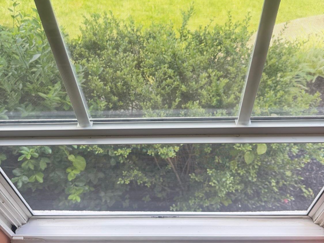View through a window with a screen showing green bushes and a grassy lawn.
