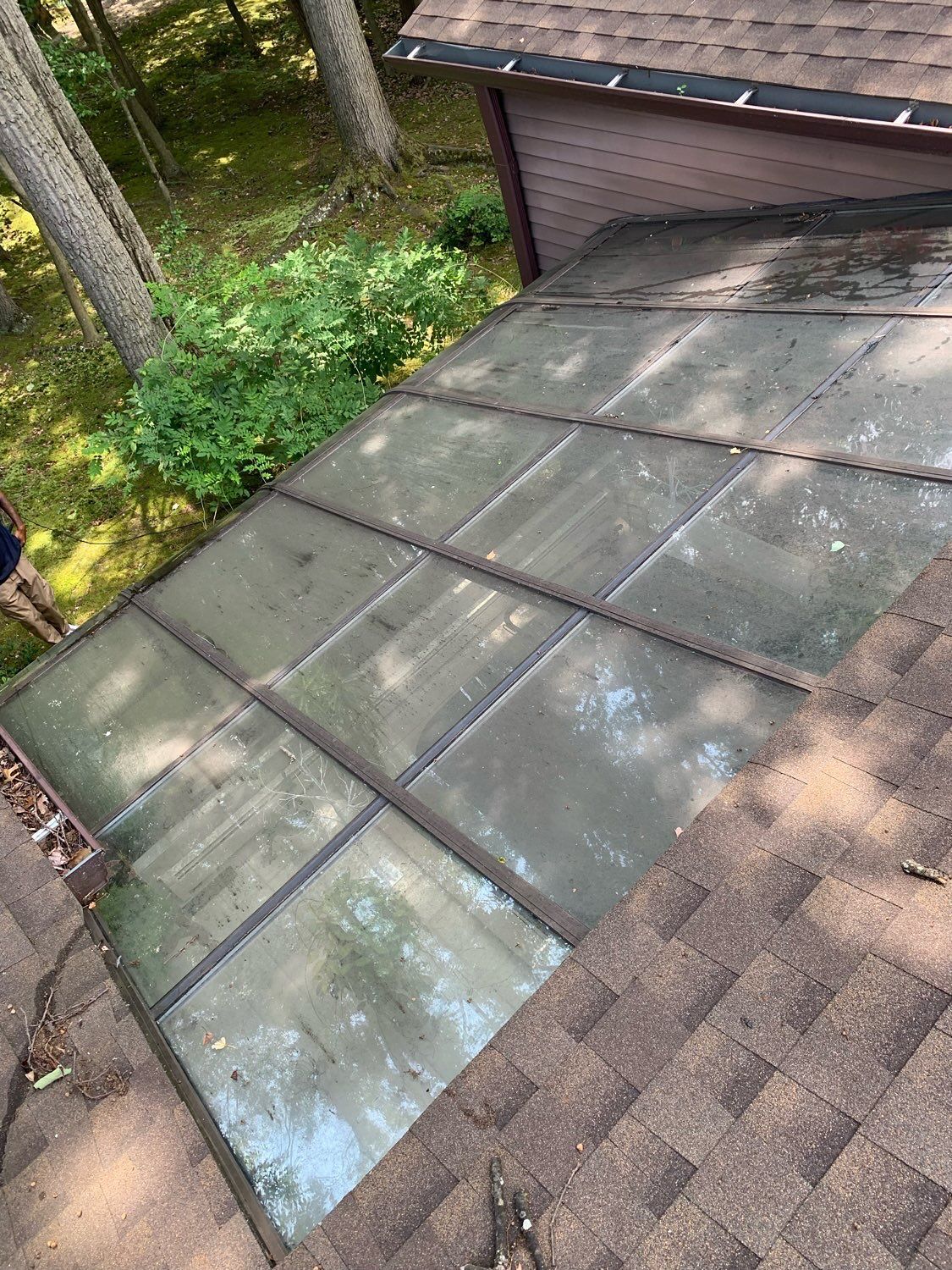 A rectangular, multi-pane glass skylight installed on a shingled roof, surrounded by a wooded outdoor area.
