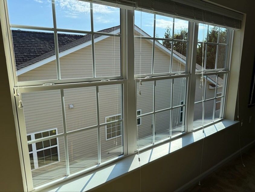 A multi-paneled window looking out at the beige, vinyl-sided wall of a neighboring building on a sunny day.