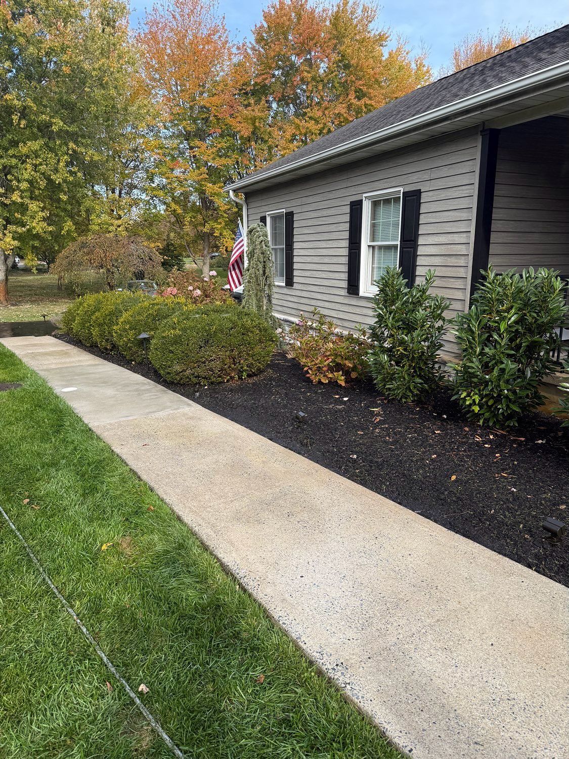 A concrete sidewalk leads toward the side of a grey house with black shutters, bordered by bushes and dark mulch.