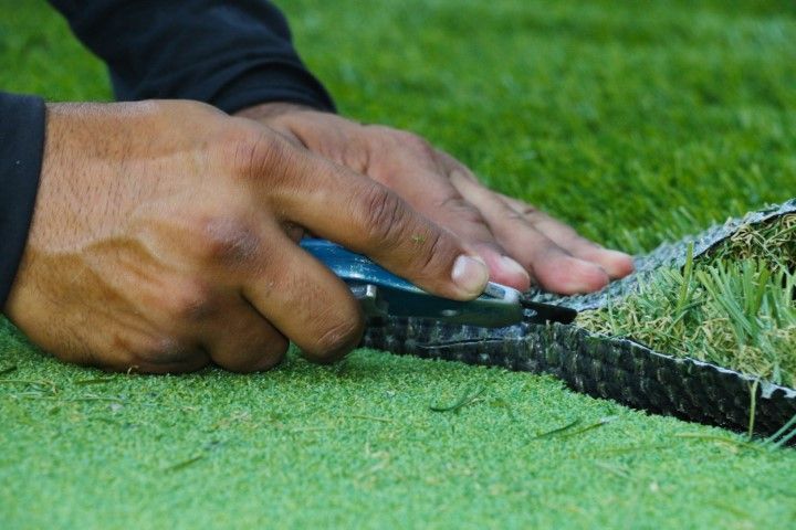 Turf being cut to perfection
