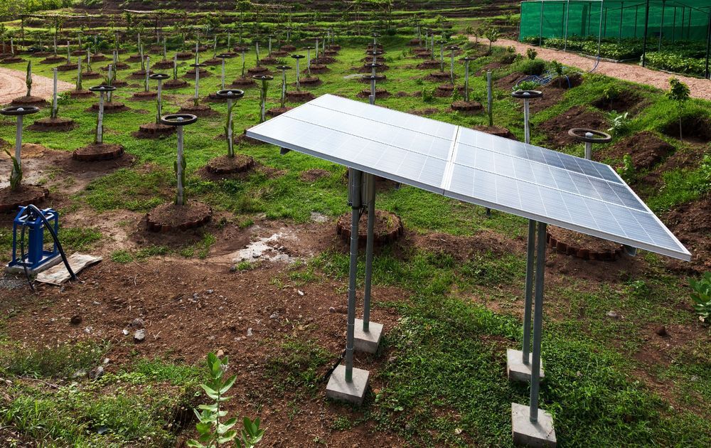 Solar Panel in a Field Irrigating Saplings, With a Pump Visible — Milton Electrical Projects In Kaban, QLD