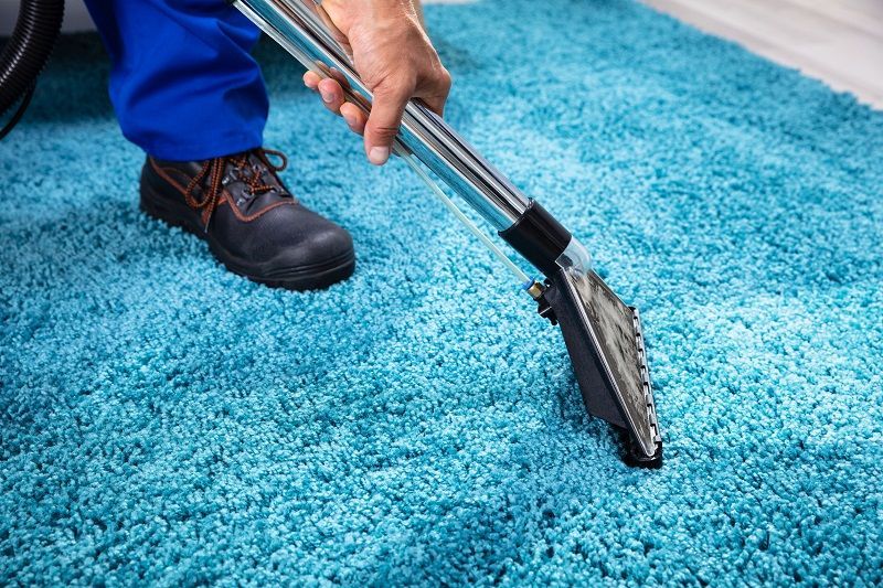 Carpet Cleaners Spot Cleaning Professional Treatment