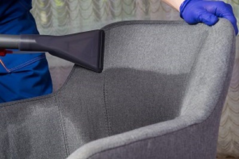 Upholstery Cleaning Professional Thornton Cleaner