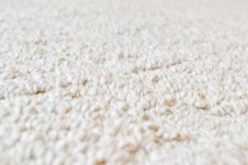 Rug Cleaning Denver Professional Clean