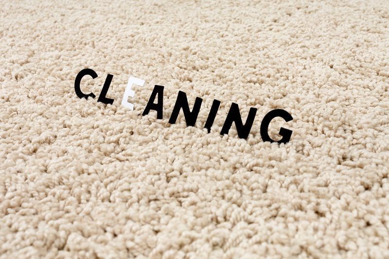 Carpet Cleaning in Thornton CO