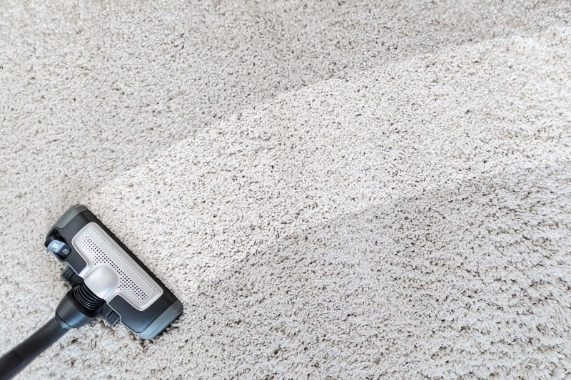 Area Rug Cleaning Professionals