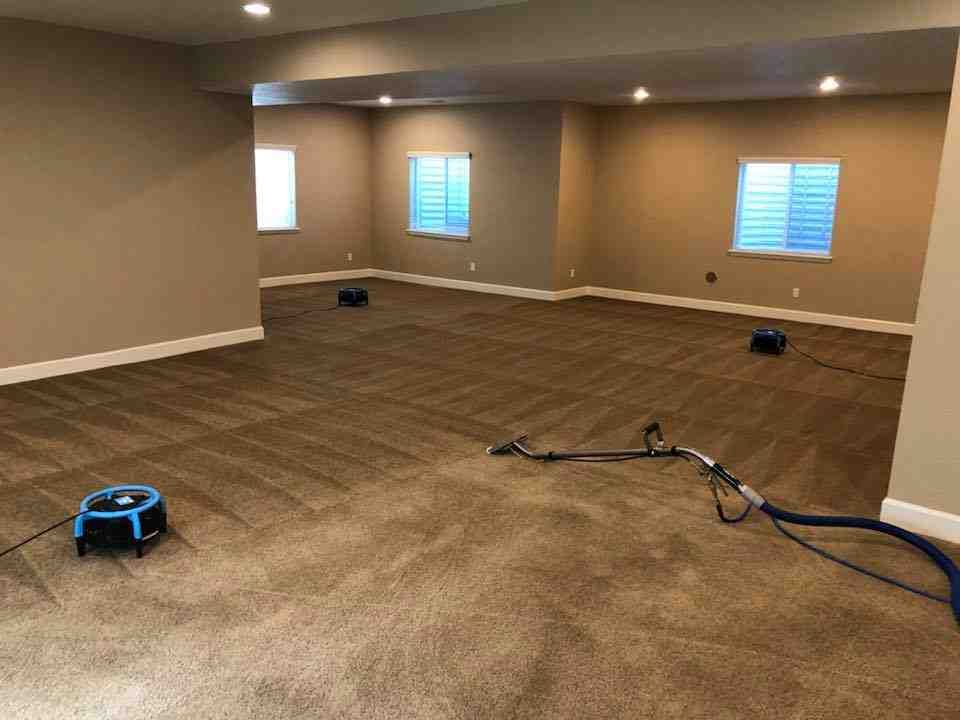 Person cleaning a carpet with steam cleaner - carpet steam cleaning price - carpet steam cleaning pr