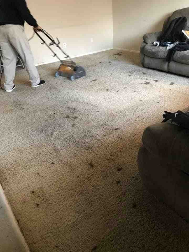 carpet cleaning - Carpet cleaning and repair services