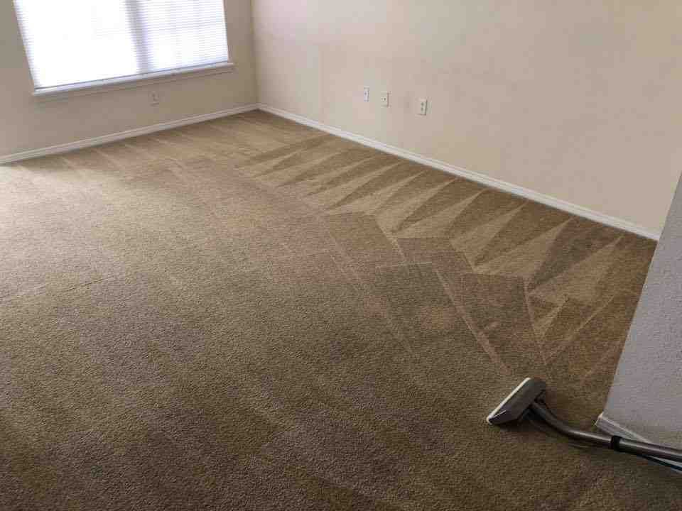 Carpet Cleaning Thornton - carpet cleaning prices thornton co