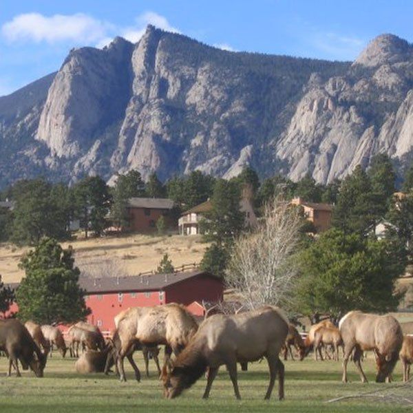 estes park