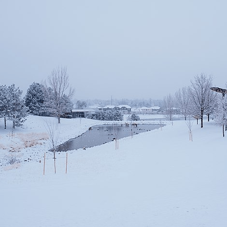 green-wood-village