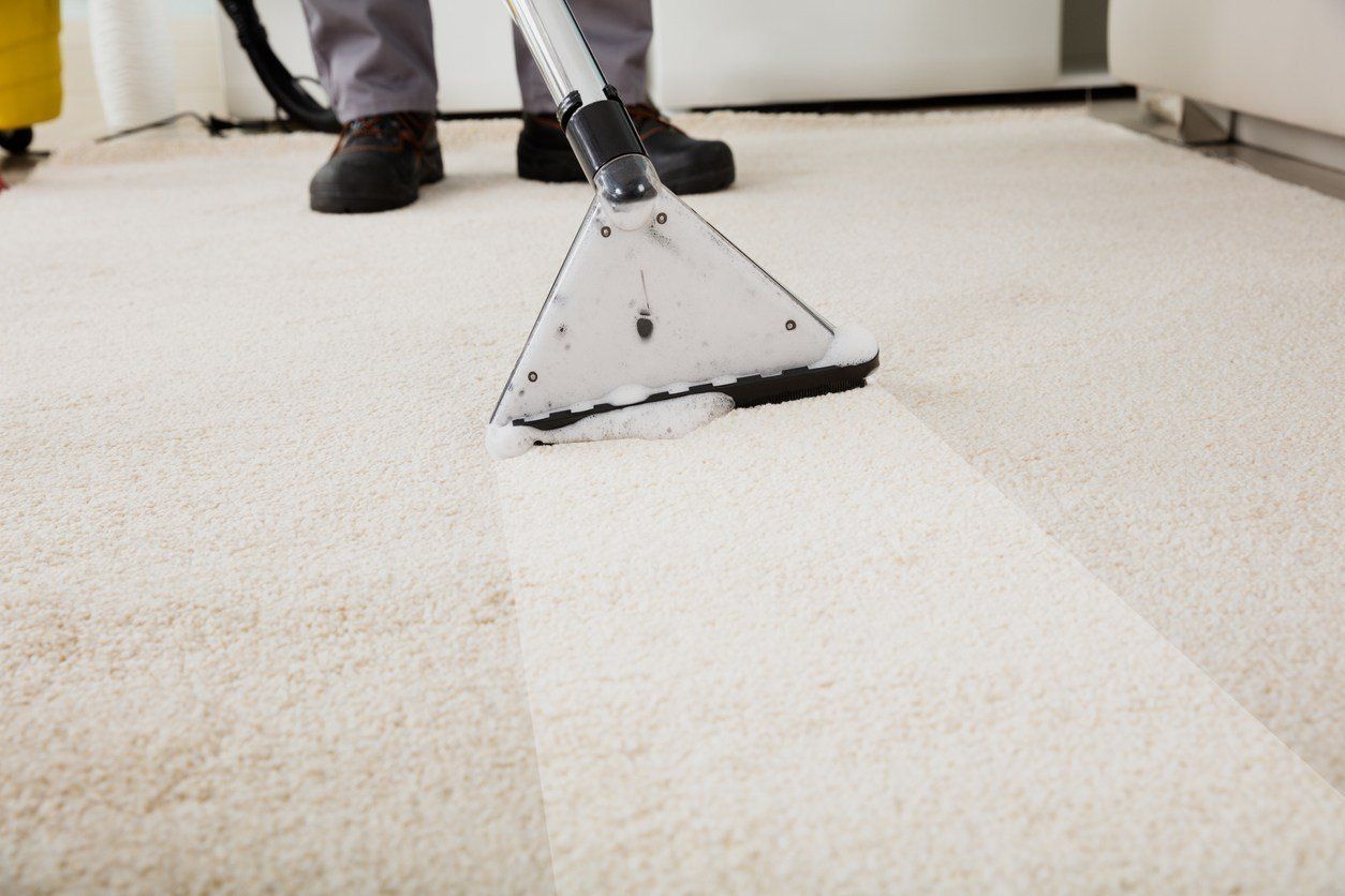 carpet cleaning with shampoo