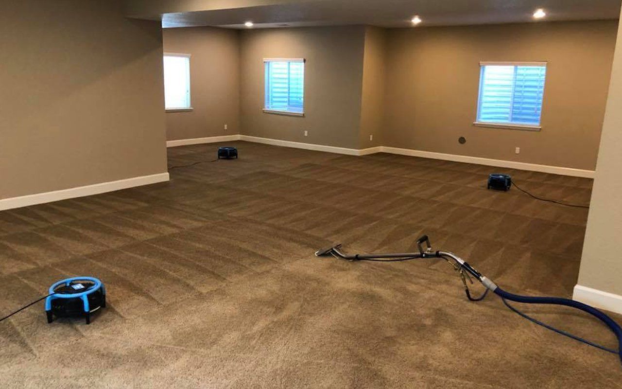 Carpet Vacuum cleaning