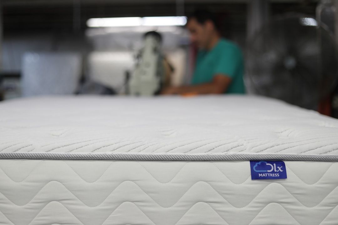 mattress sanitizing service - mattress sanitizing service
