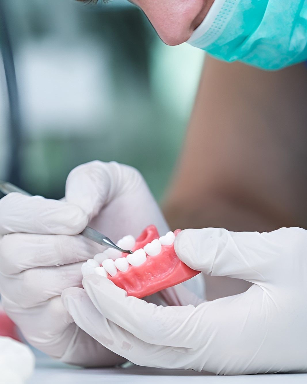 A Dentist is Working on a Model of Teeth — Yeppoon Denture Clinic in Rockhampton, QLD