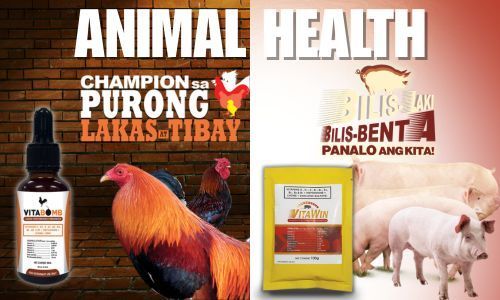 Animal Health