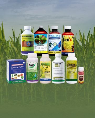 Hands of farmer peeling corn on the cob in a field.
