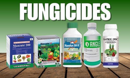 Fungicide