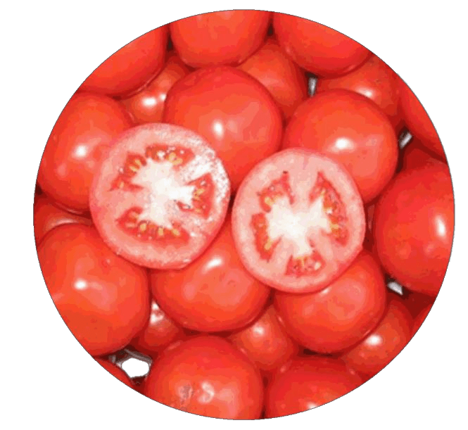 Tomatoes, some whole, some sliced open, in a circular arrangement; red and white.