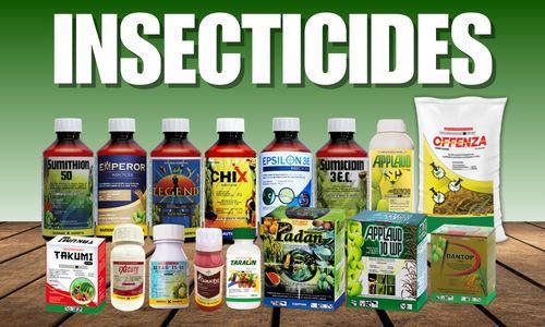 Insecticide