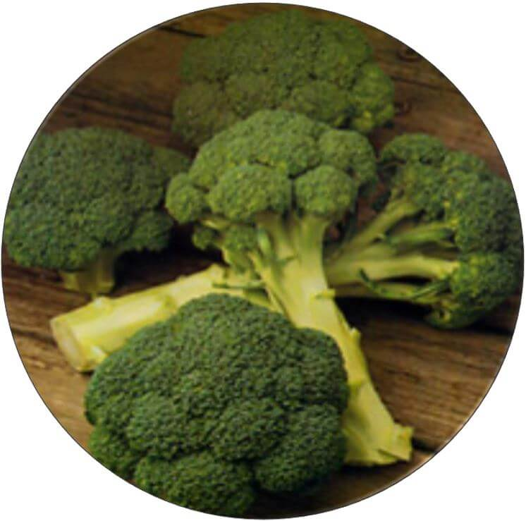 Legacy Broccoli