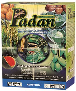 Padan