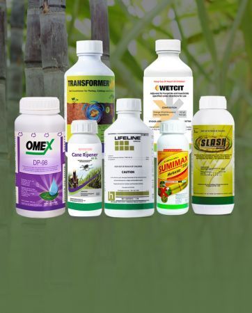 Close-up of a pile of sugarcane stalks, with brown and purple hues.