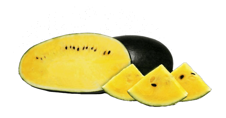 Yellow watermelon, sliced and whole, with black rind and seeds.