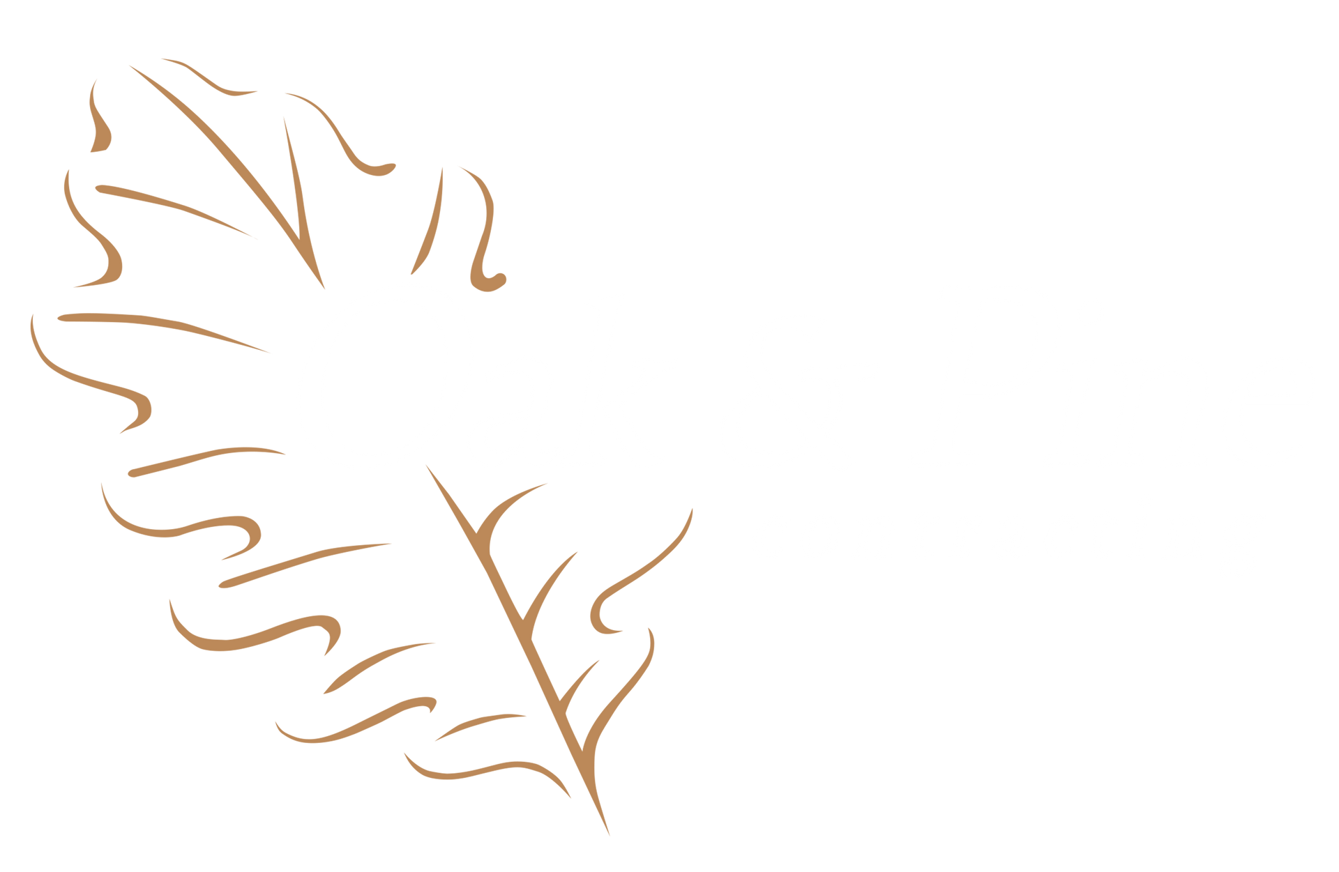 oak and pine logo white text