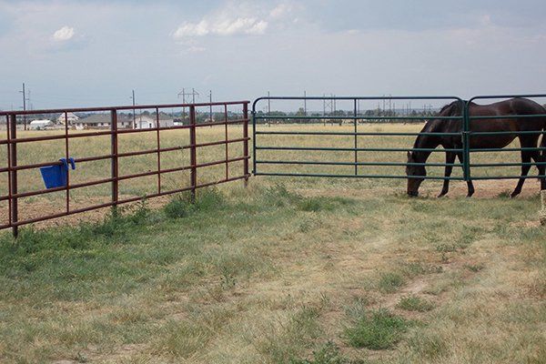 Ranch and Farm Fence — Kiowa, CO — Frontier Fence