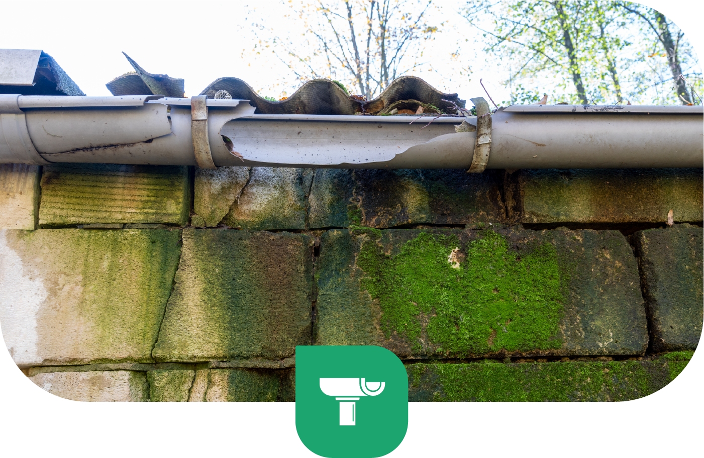 Damaged gutter leaking water onto a moss-covered brick wall.