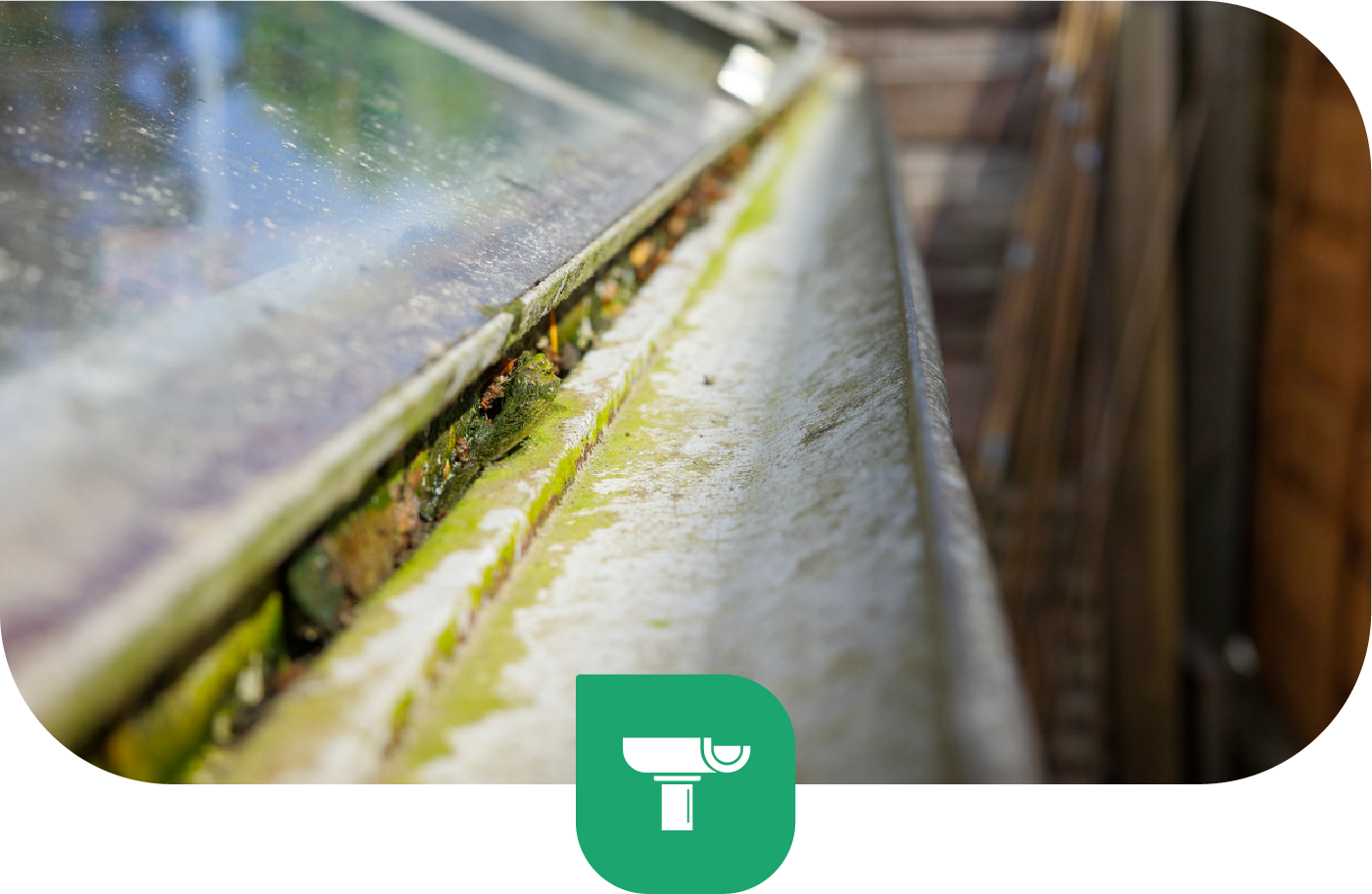Close-up of a dirty, mossy gutter filled with debris, with a glass pane visible above.