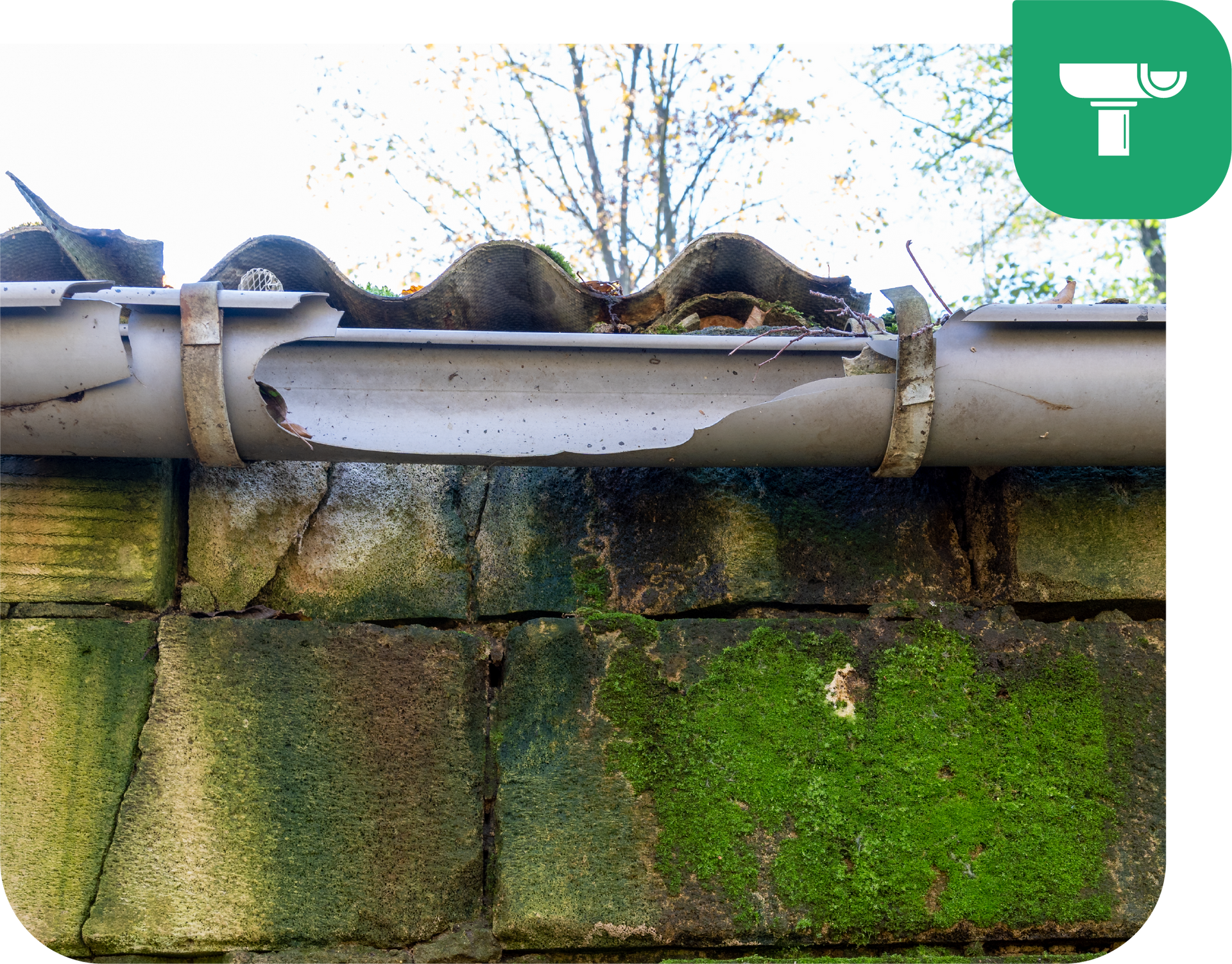 Damaged gutter on mossy brick wall.