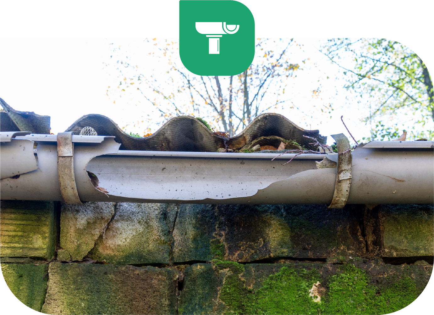 Damaged gutter section, crumbling, full of debris, mounted to a mossy brick wall.
