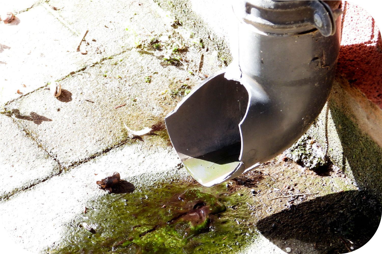 A silver gutter spout expels green water onto a concrete surface, forming a puddle with moss.