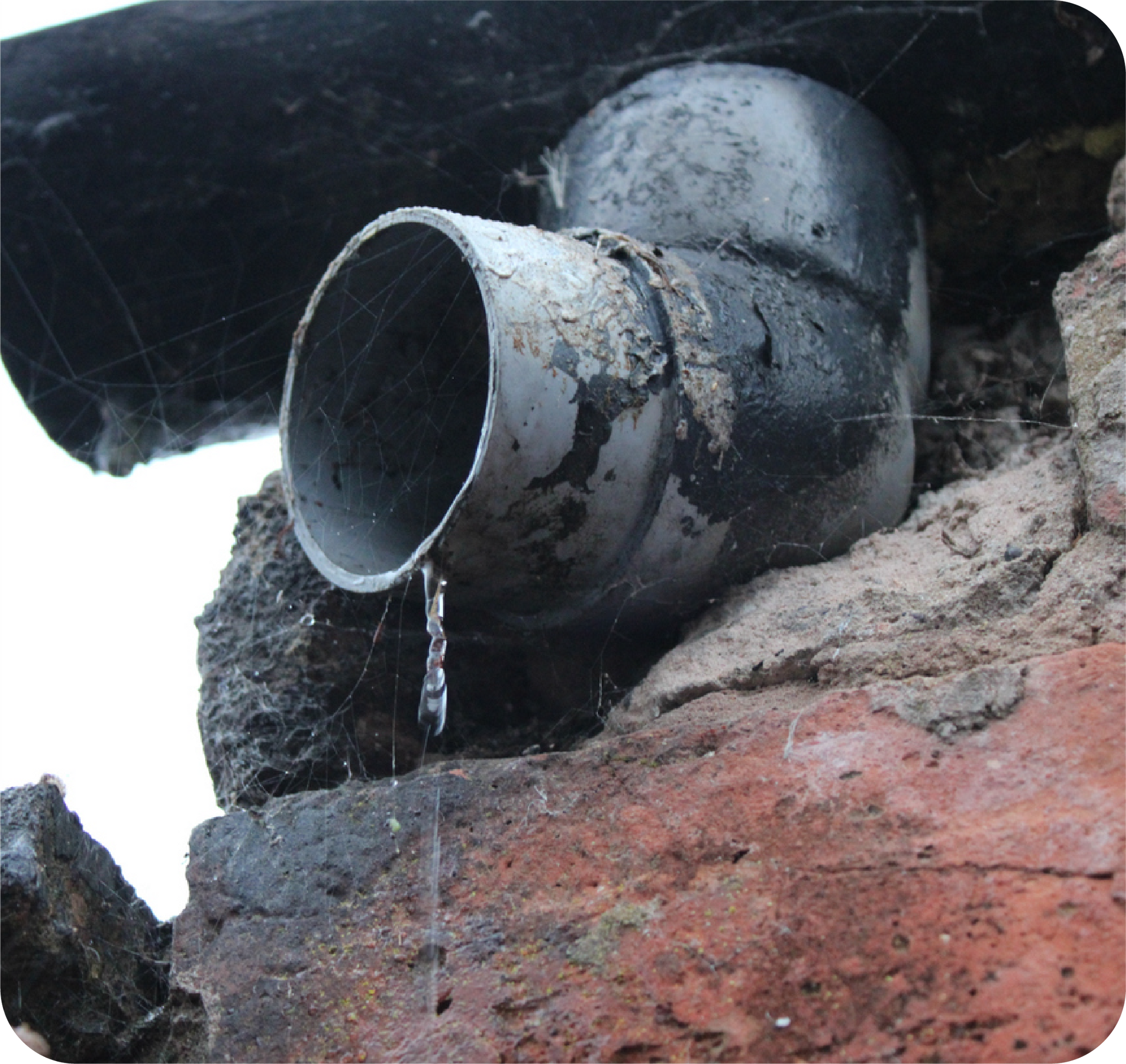 Leaking gray pipe elbow attached to brick wall; water dripping.