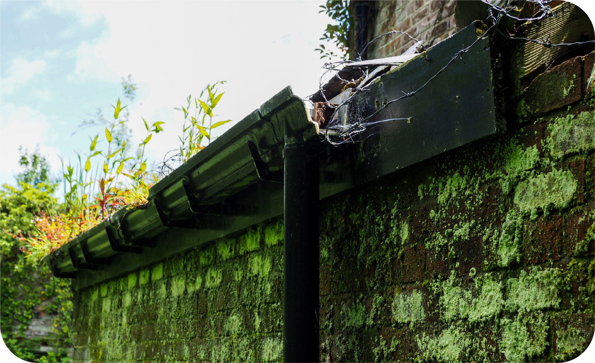 Black gutter overflowing with water next to a mossy brick wall.