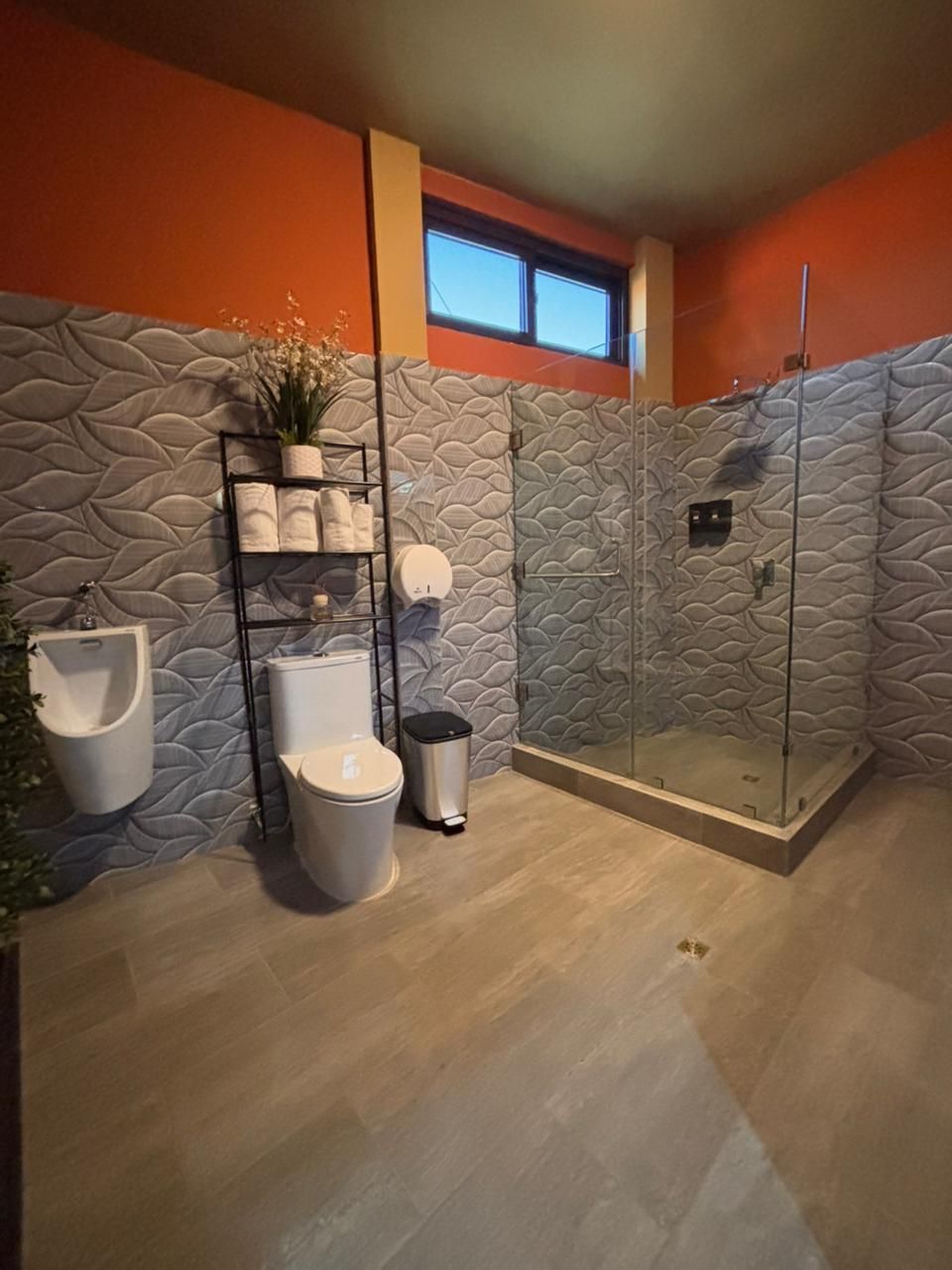 Valle nuevo Imagen 118